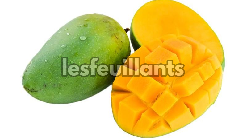 Mangga