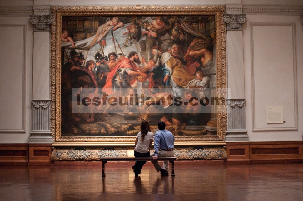 Museum Seni John & Mable Ringling: Sarasota