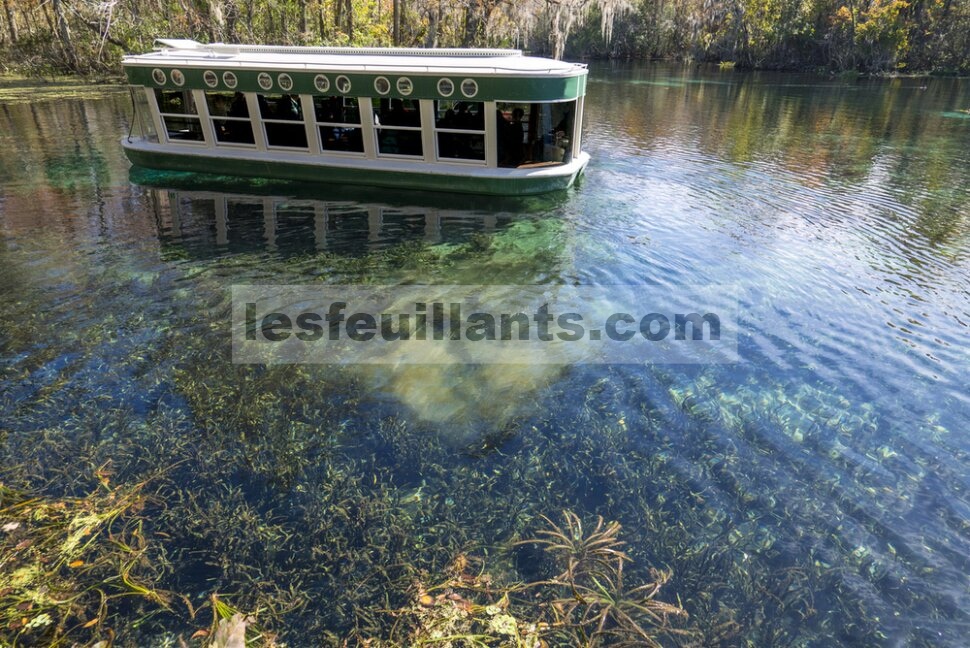Naiki perahu beralas kaca di Taman Negara Bagian Silver Springs