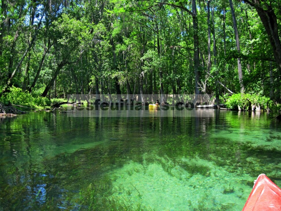 Taman Negara Bagian Ichetucknee Springs: Benteng White