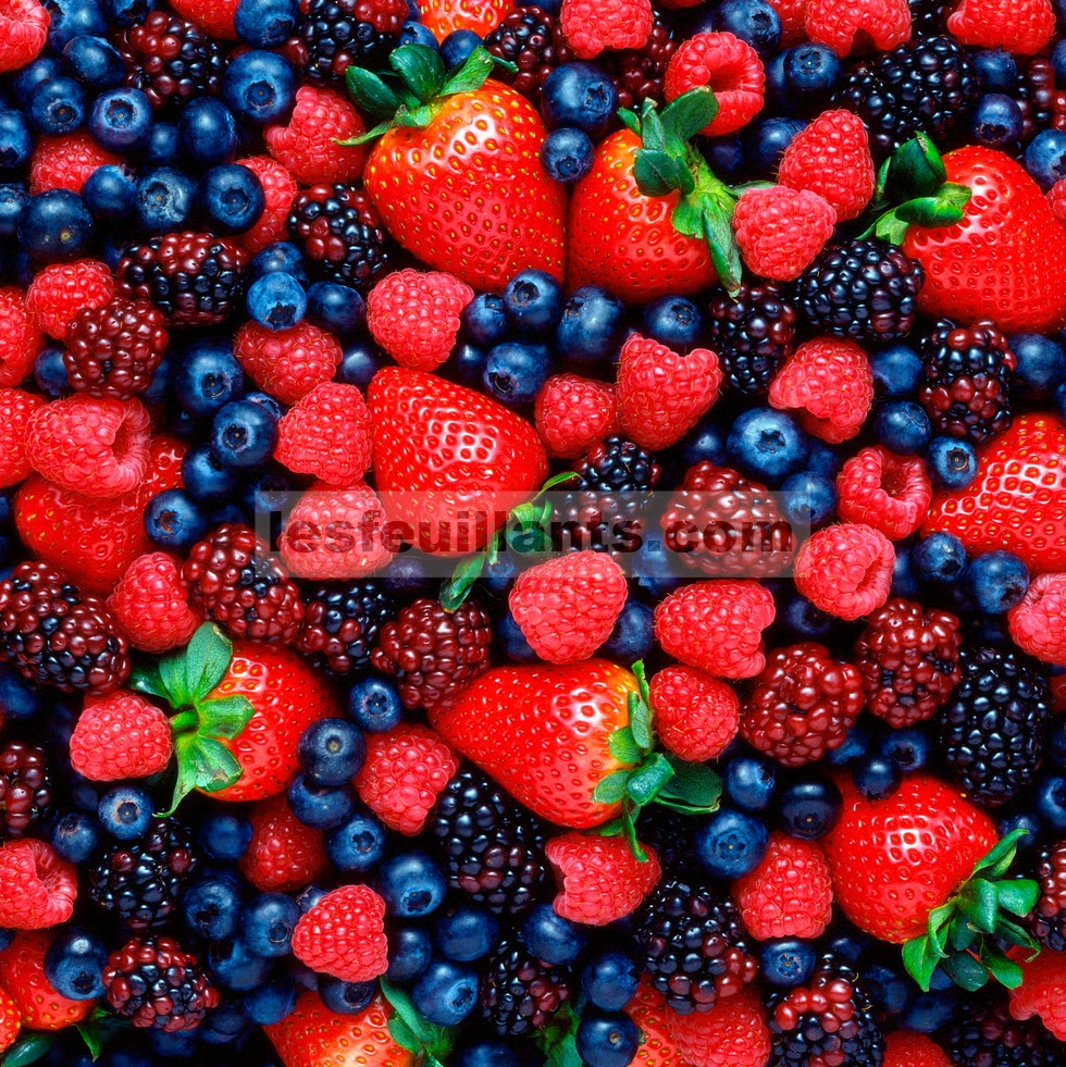 buah beri